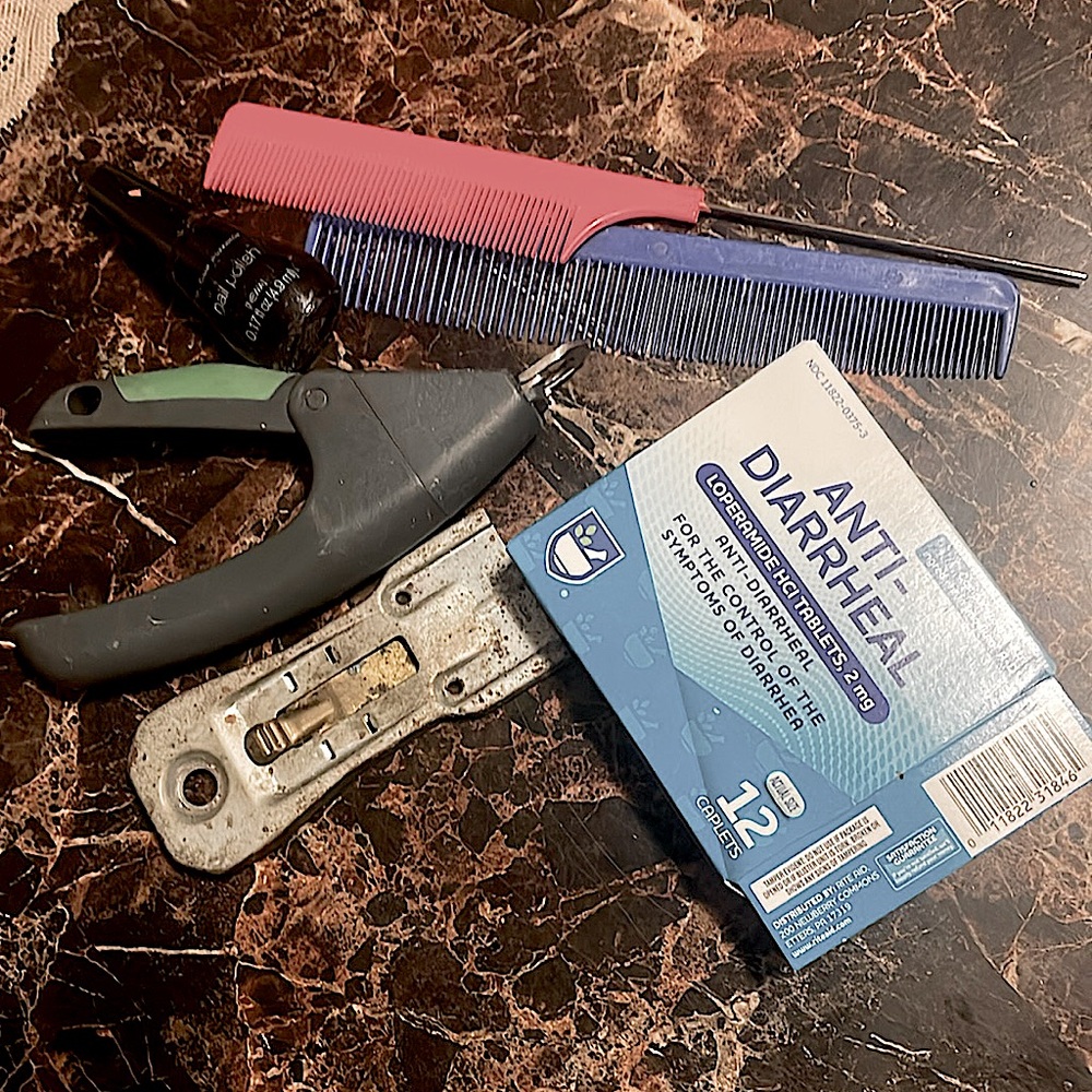 Bundle toilet vibe